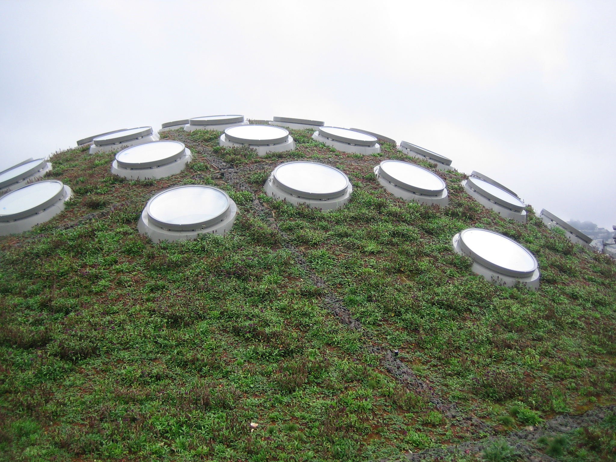 CA Academy of Sciences, Living Roof